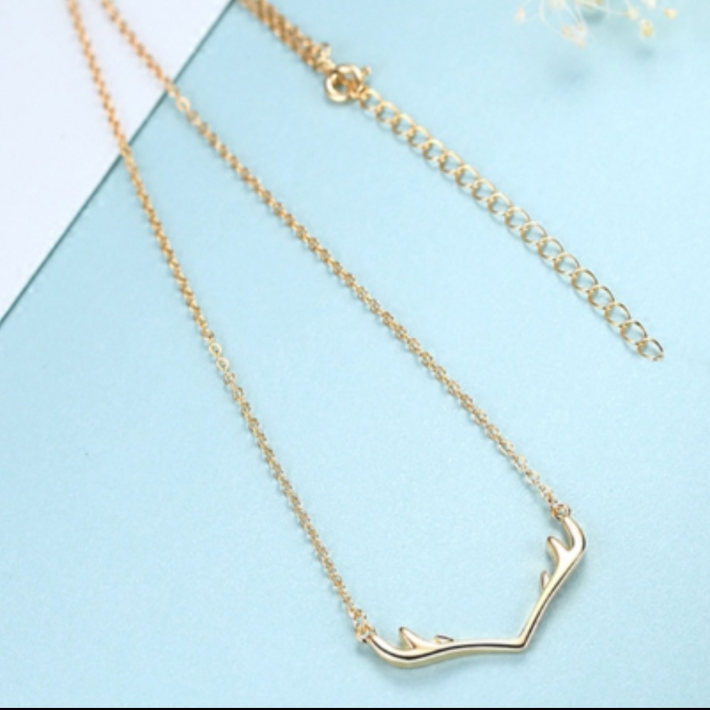 ANTLER NECKLACE - Picture 3 of 5